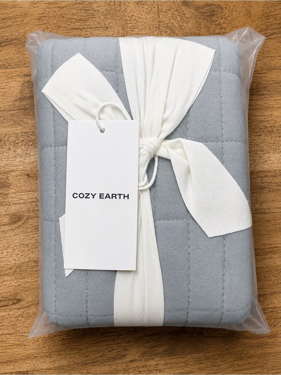 cozy earth Other - Cozy Earth Bamboo Jersey Quilted Euro Shams Stone 36x36 Set of 2 NWT